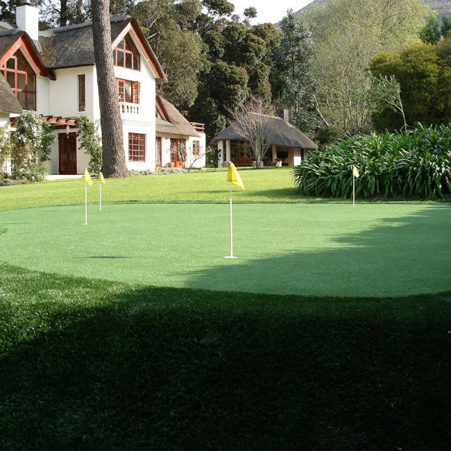 Putting green detail: ball on turf, tight grain texture
